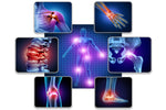 Ingredientes para mejorar la osteoporosis, artritis y salud de los cartilagos